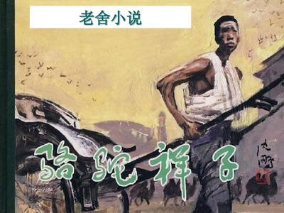 福建大菠萝官方网站